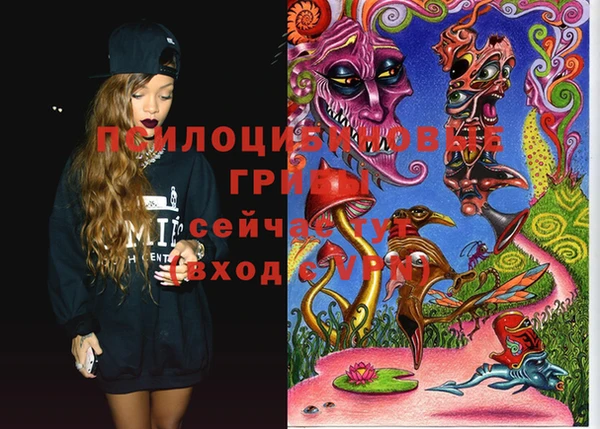 мдма Михайловск